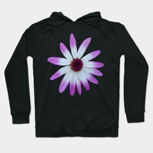 purple flower, blossom, nature,blooms Hoodie